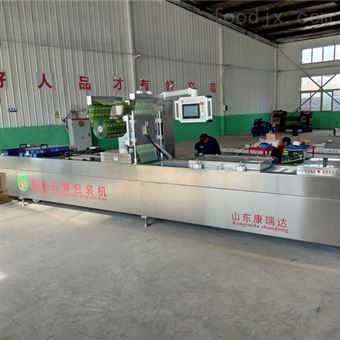 DZR420药片拉伸膜真空包装机