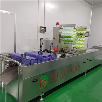 DZR520全自动真空包装机