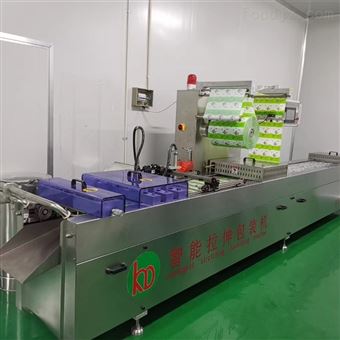 DZR520全自动真空包装机