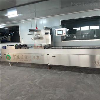 DZR520不锈钢食品连续式拉伸膜真空包装机