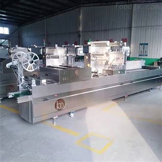 DZR420口罩真空包装机