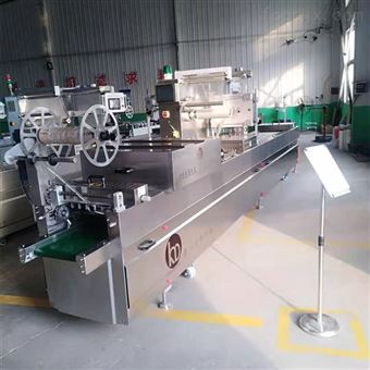 DZR520辣条真空包装机