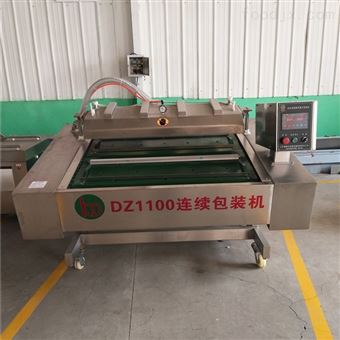 DZ-1100连续全自动真空包装机