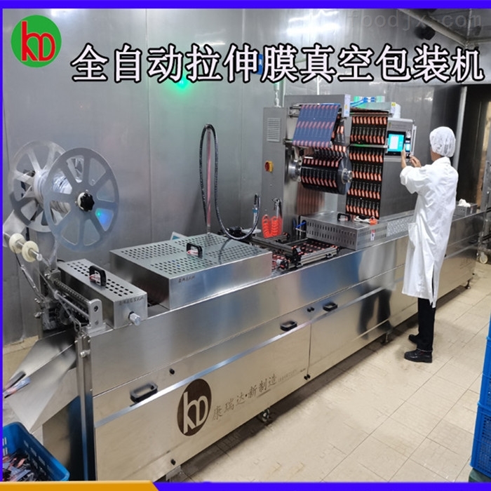 DZR420多功能输液袋真空包装机