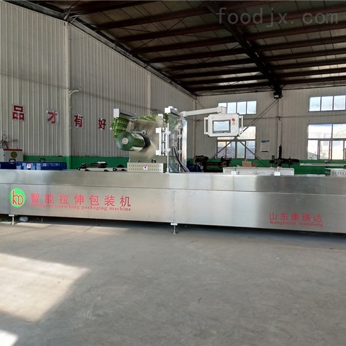 DZR620连续真空包装机