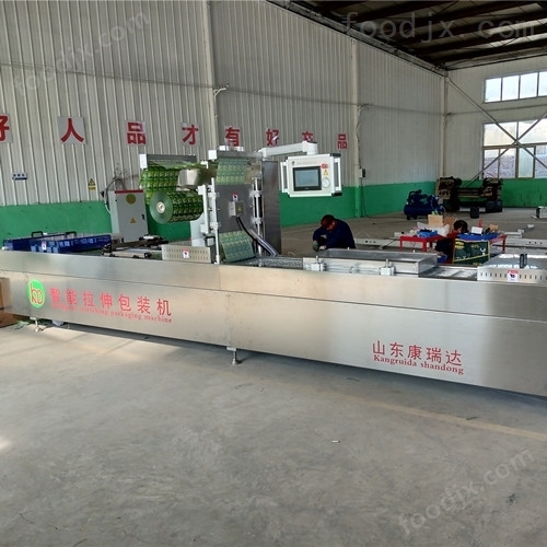 DZR420药片拉伸膜真空包装机